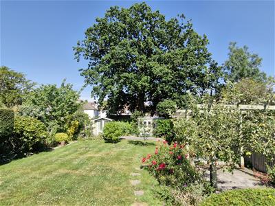 Picture 23